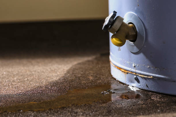 Best 24/7 water damage repair  in Brookfield, MO