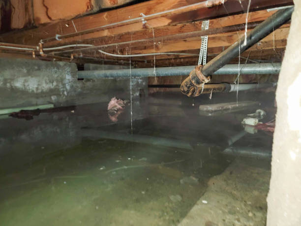 Best Emergency water damage restoration  in Brookfield, MO