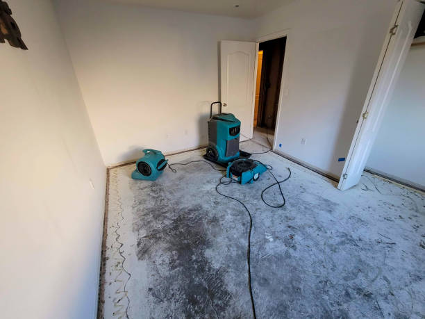 Best 24-hour water damage restoration  in Brookfield, MO