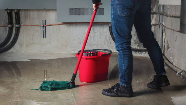  Brookfield, MO Water damage restoration Pros