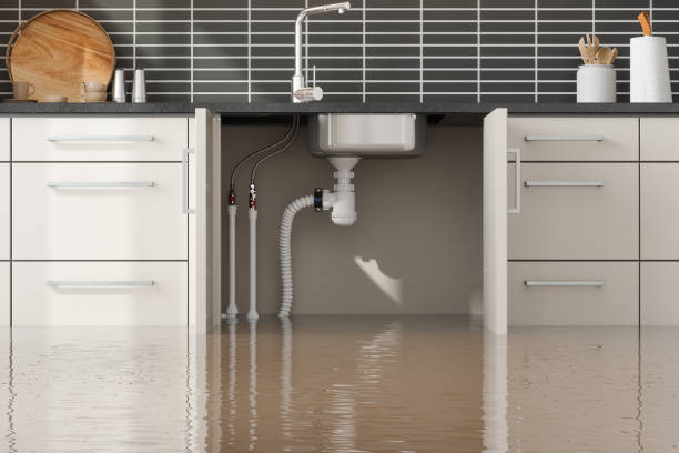 Best 24-hour water damage restoration  in Brookfield, MO